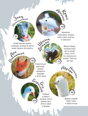 Мой нежный зверь. Маленькое конструкторское чудо на спицах. Игрушки, связанные без сшивания деталей — фото, картинка — 3