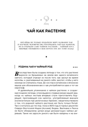 История чая — фото, картинка — 17