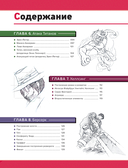 Рисуем персонажей культовых аниме. Пошаговые уроки для начинающих — фото, картинка — 5