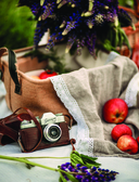 Праздничная выпечка для незабываемых моментов. Рецепты счастья для каждого сезона — фото, картинка — 11