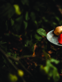 Праздничная выпечка для незабываемых моментов. Рецепты счастья для каждого сезона — фото, картинка — 6