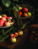 Праздничная выпечка для незабываемых моментов. Рецепты счастья для каждого сезона — фото, картинка — 7