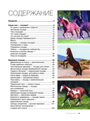 Большая книга о лошадях и пони. 1001 фотография — фото, картинка — 3