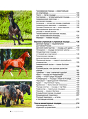 Большая книга о лошадях и пони. 1001 фотография — фото, картинка — 4