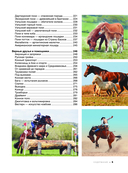 Большая книга о лошадях и пони. 1001 фотография — фото, картинка — 5