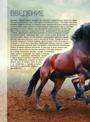 Большая книга о лошадях и пони. 1001 фотография — фото, картинка — 6