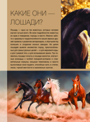 Большая книга о лошадях и пони. 1001 фотография — фото, картинка — 8