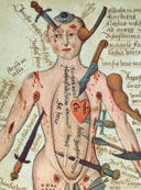 Анатомика. От ужасного до великого: человеческое тело в искусстве — фото, картинка — 13