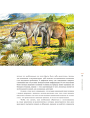 Конец мегафауны — фото, картинка — 11