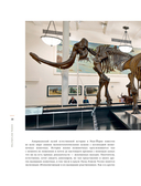 Конец мегафауны — фото, картинка — 18