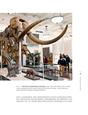 Конец мегафауны — фото, картинка — 19