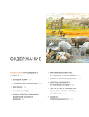 Конец мегафауны — фото, картинка — 8