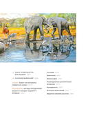 Конец мегафауны — фото, картинка — 9