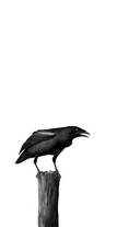 Дальний Лог. Уральские рассказы — фото, картинка — 2