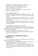 Pharmacognosie. Plantes medicinales — фото, картинка — 8