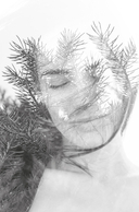 Нос. Секреты парфюмера Guerlain — фото, картинка — 15