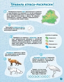 Атлас-раскраска. Растительный и животный мир Беларуси — фото, картинка — 1