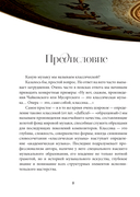 Музыкальный Петербург. Все оперные и балетные сцены Северной столицы — фото, картинка — 5