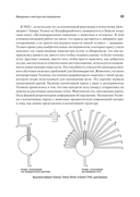 Когнитивная психология — фото, картинка — 13