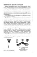 Занимательная физика — фото, картинка — 48