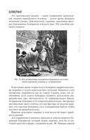 Занимательная физика — фото, картинка — 50