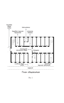 Тогда и только тогда, когда снег белый — фото, картинка — 7
