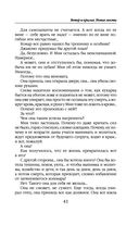 Ветер и крылья. Новые мосты — фото, картинка — 41