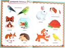 Развивающая энциклопедия для детей от 6 месяцев до 3 лет — фото, картинка — 1