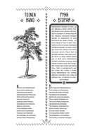 Калевала — фото, картинка — 11