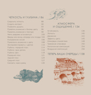 Секреты художника. 55 профессиональных техник — фото, картинка — 2