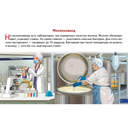 Обучающие карточки. Как получается молоко — фото, картинка — 2