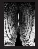 Артбук. Х Р А М. Монохромный ужас — фото, картинка — 20