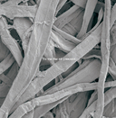 Не лижи эту книжку — фото, картинка — 5