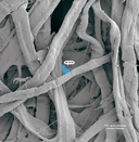 Не лижи эту книжку — фото, картинка — 6