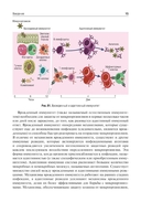 Общая иммунология с основами клеточной, молекулярной и клинической иммунологии — фото, картинка — 6
