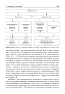 Общая иммунология с основами клеточной, молекулярной и клинической иммунологии — фото, картинка — 8