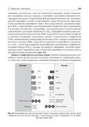 Общая иммунология с основами клеточной, молекулярной и клинической иммунологии — фото, картинка — 10