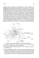 Политическая психология: психосемантический подход — фото, картинка — 2