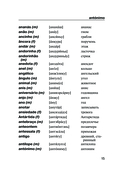 Португальско-русский русско-португальский словарь с произношением — фото, картинка — 14