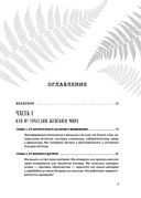 Бизнес-ведьмы — фото, картинка — 3