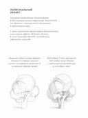 Sketchbook с уроками внутри. Скетчбук дизайнера (графический практикум) — фото, картинка — 21