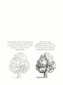 Sketchbook с уроками внутри. Скетчбук дизайнера (графический практикум) — фото, картинка — 22