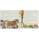 Заячьи лапы — фото, картинка — 2