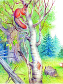 Лучшие истории Виталия Бианки о животных — фото, картинка — 2