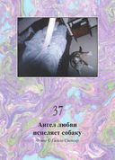 Магическая сила тонкого мира (44 карты в картонной коробке + брошюра с инструкцией) — фото, картинка — 9