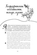 Япония изнутри — фото, картинка — 42