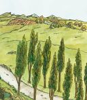 Дама в шляпе — фото, картинка — 17