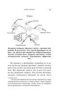 Мозг. Советы учёного, как по максимуму использовать самый совершенный в мире орган — фото, картинка — 9