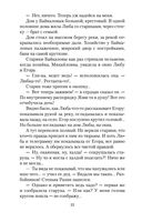 Калина красная — фото, картинка — 31