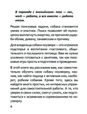 Что-то проНЮХала — фото, картинка — 4